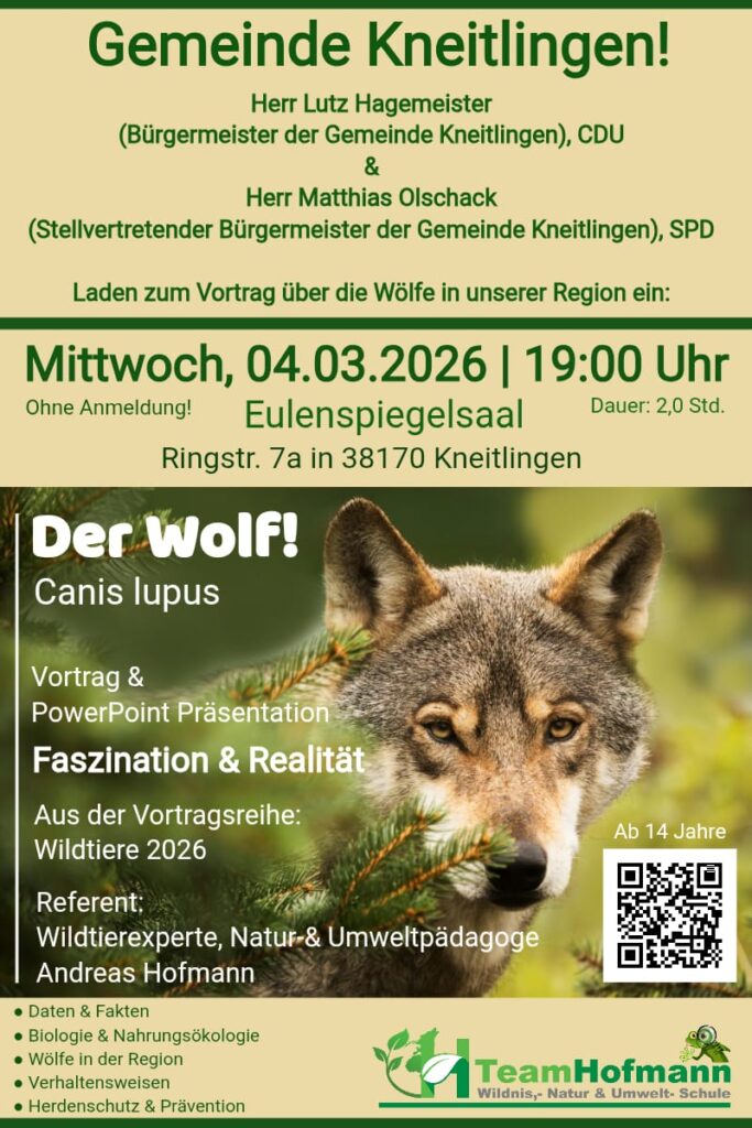 Kneitlingen: Vortrag Thema Wolf